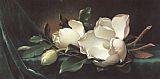 Velvet Canvas Paintings - Magnolia Blossoms on Blue Velvet